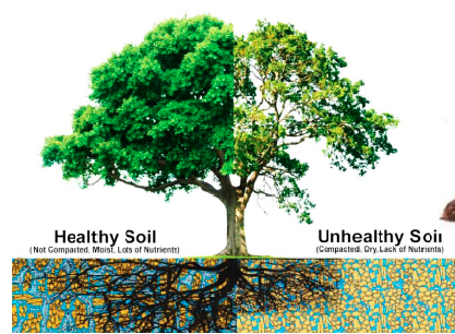 New Bio Chemically Enriched Fertile Soil Media